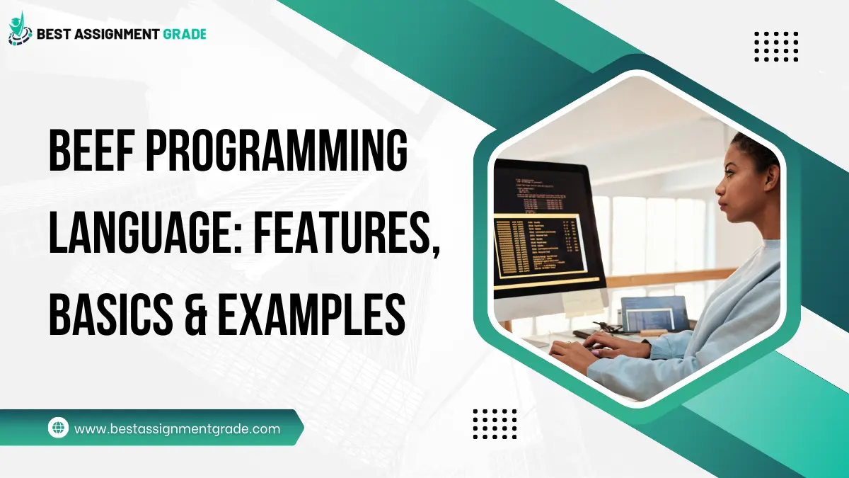 beef programming language