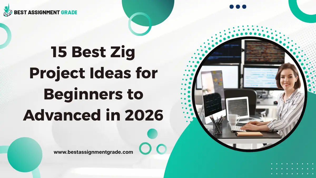 zig project ideas