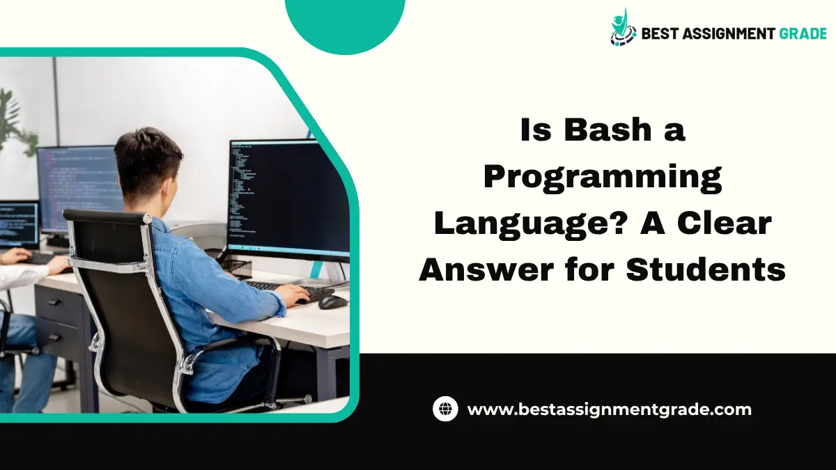 is bash a programming language